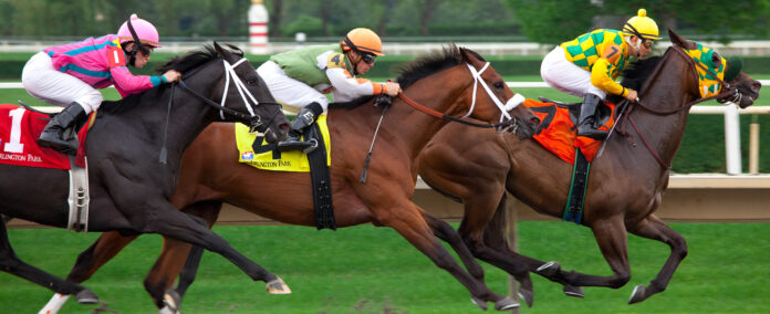 jockey on horse